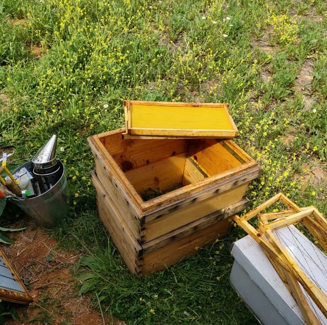 Hive management